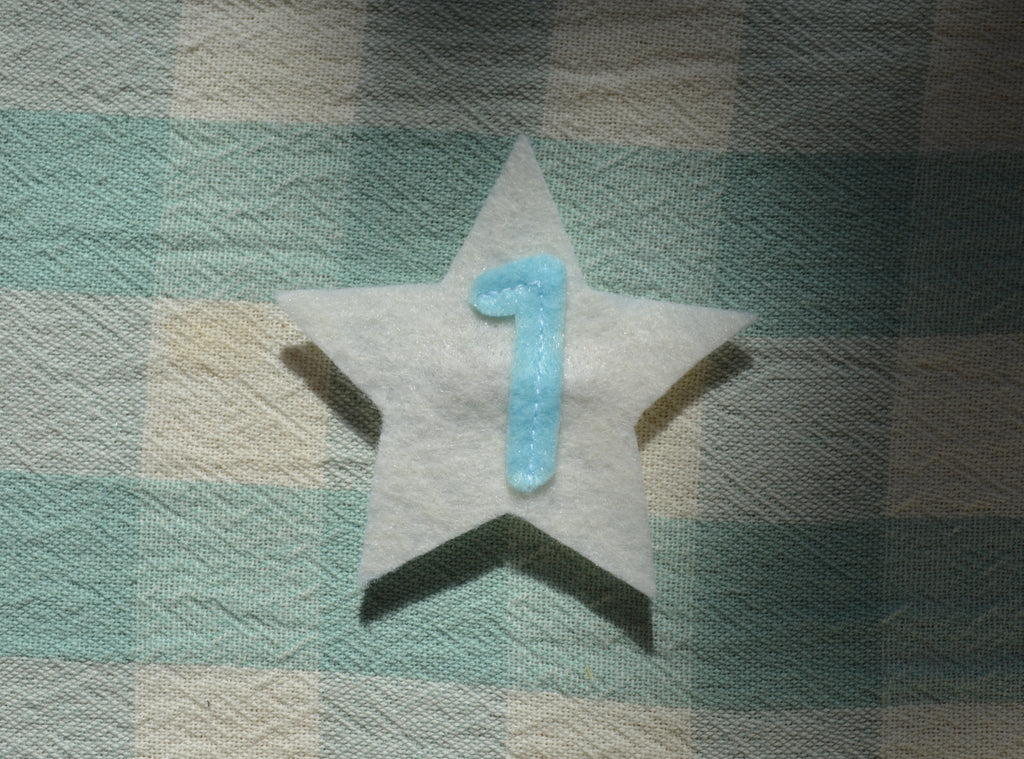 Star Number Pin