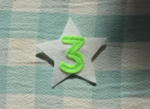 Star Number Pin