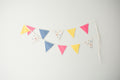 Bunting - Pink, Yellow and Blue