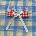 Party Crown - Picnic Gingham